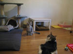 74f5a6d8.jpg