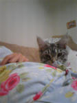 091203_195712.jpg