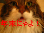 4662edb9.jpeg