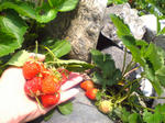 2010.5.25.jpg