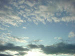 20100513180403.jpg