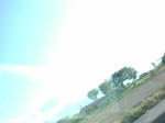 20100513163013.jpg