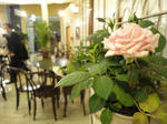DSC013759.jpg