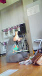 2011.6.5.jpg