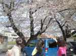 2012.4.15.jpg