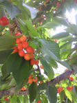 201206301103000.jpg