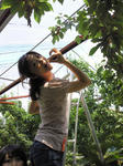 201206301108000.jpg