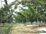 201206301123000.jpg