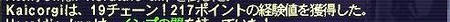 １９ちぇ