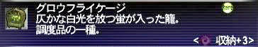09.08.07グロウフライケージ