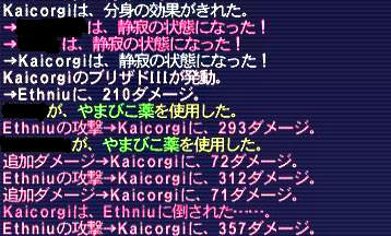 09.11.19エスニウ被ダメ