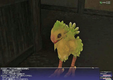 10.04.07ちょこぼ２