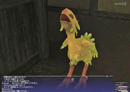 10.04.07ちょこぼ３