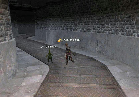 10.05.03サボテンNPC