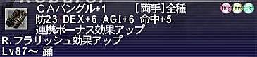 10.12.07CAバングル＋１