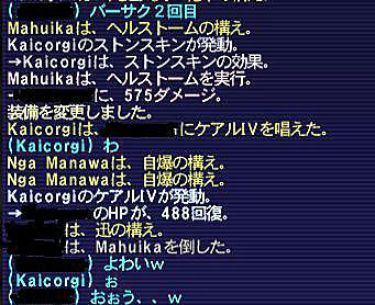 11.05.10ヘルストーム＆自爆