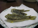 IMGP3280_1.jpg