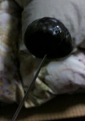 P2010044.JPG