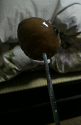 P2010045.JPG