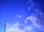 PICT0031.JPG