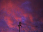 PICT0301.JPG