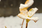 IMG_5098_edited-1.jpg