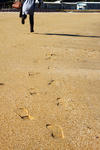 IMG_3310_edited-1.jpg