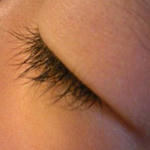 Image2031.jpg