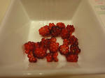 DSC00366.JPG