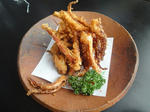 DSC00737.JPG