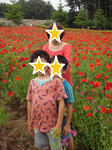 FILE291270.jpg