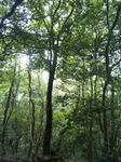 111017_114607.jpg