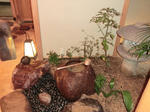 2011_1030_105257-CIMG0214.JPG