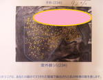111128_164023.jpg