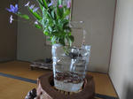 2013_0731_100724-IMG_0161.JPG