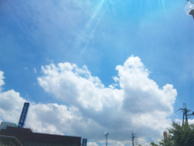 212831c4a7fdfc59ad68e3abc4520ccc2.jpg