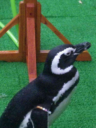 Image075.jpg