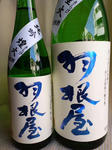 haneya_120406.jpg