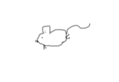 fimg_21199197009.png