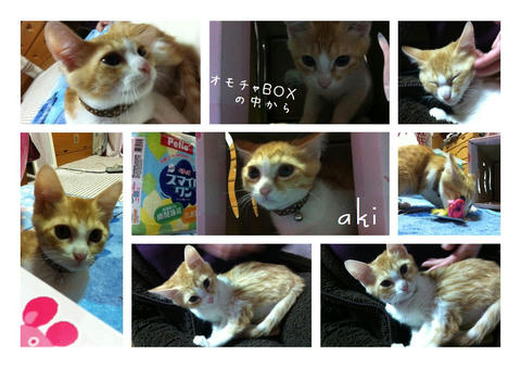 aki1214