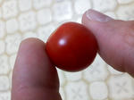 30182879_3341543025.jpg