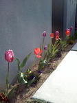 Image007.jpg