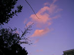 PIC_0090.JPG