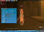 mabinogi_2008_01_13_003.jpg