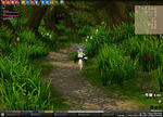 mabinogi_2008_02_14_013.jpg