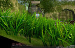 mabinogi_2008_03_09_007.jpg
