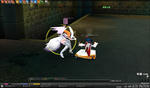mabinogi_2008_06_28_060.jpg