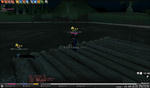 mabinogi_2008_08_22_001.jpg