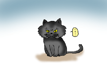 猫でーす。