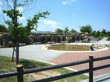 滝
